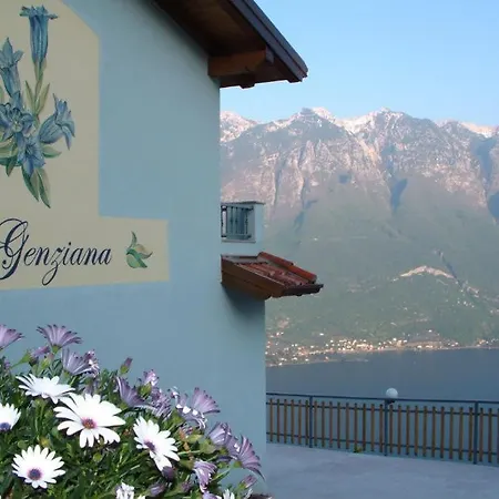 Panorama E